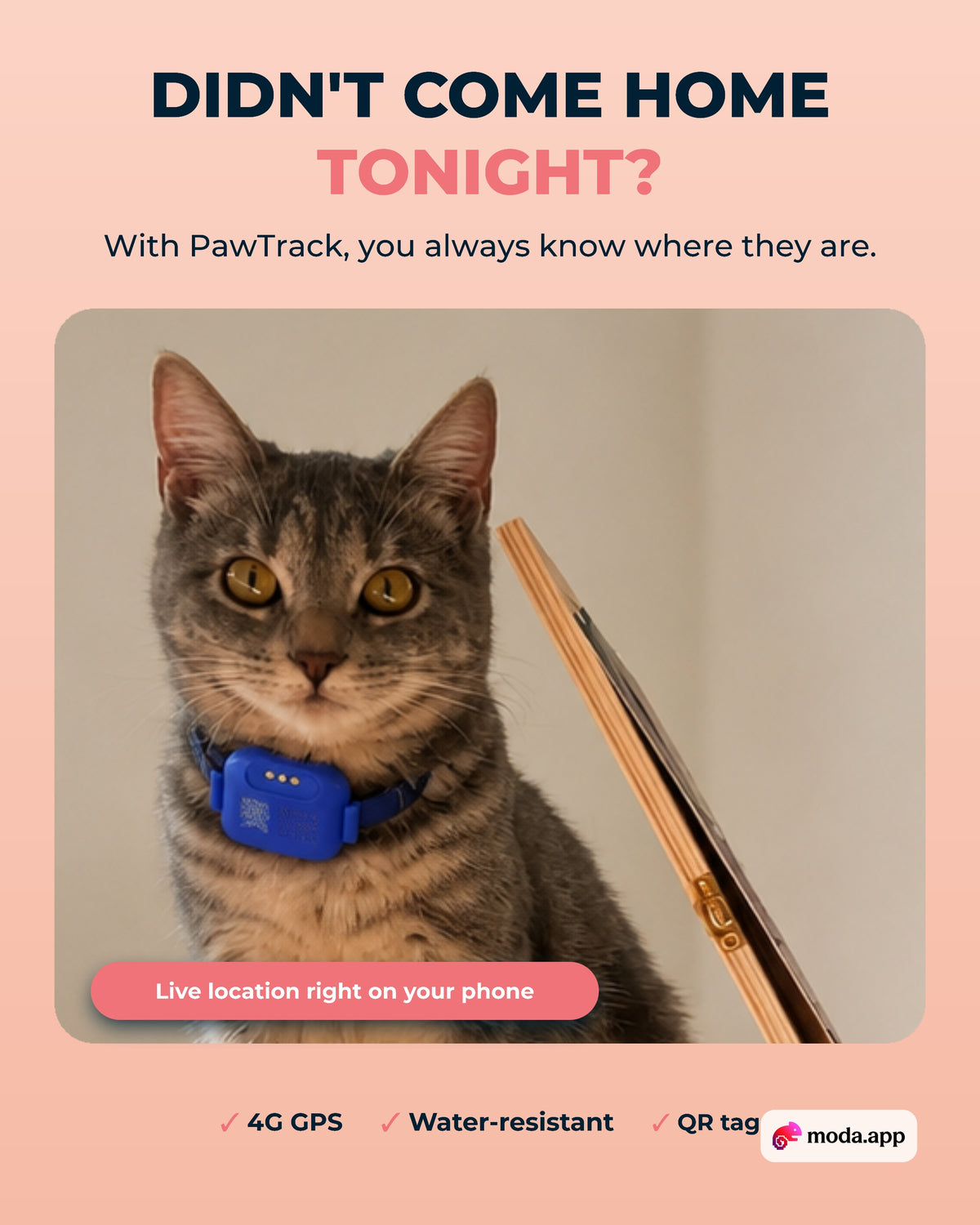 PawTrack GPS tracker for cats and dogs - Didn't come home tonight?