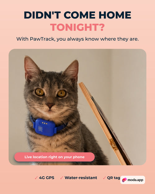 PawTrack GPS tracker for cats and dogs - Didn't come home tonight?