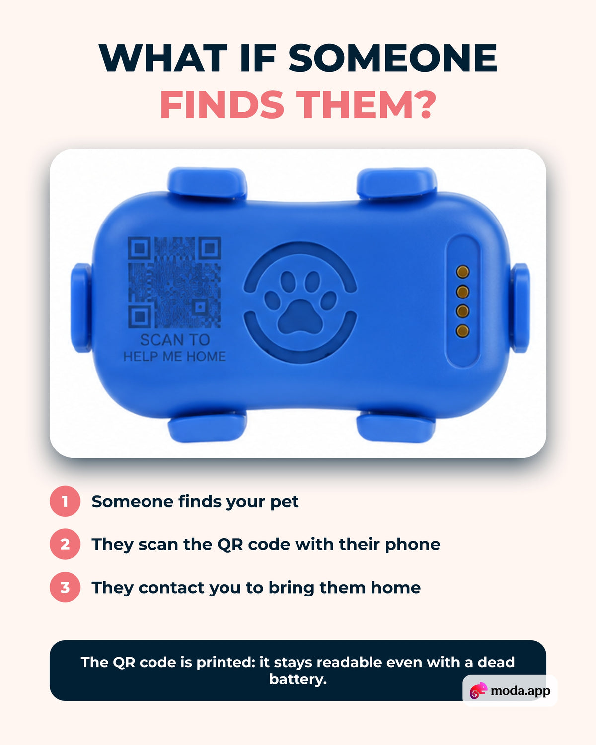 PawTrack QR tag helps bring your pet home